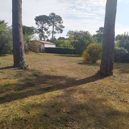 Petite Maison A Biscarrosse - Plage Exteriör bild