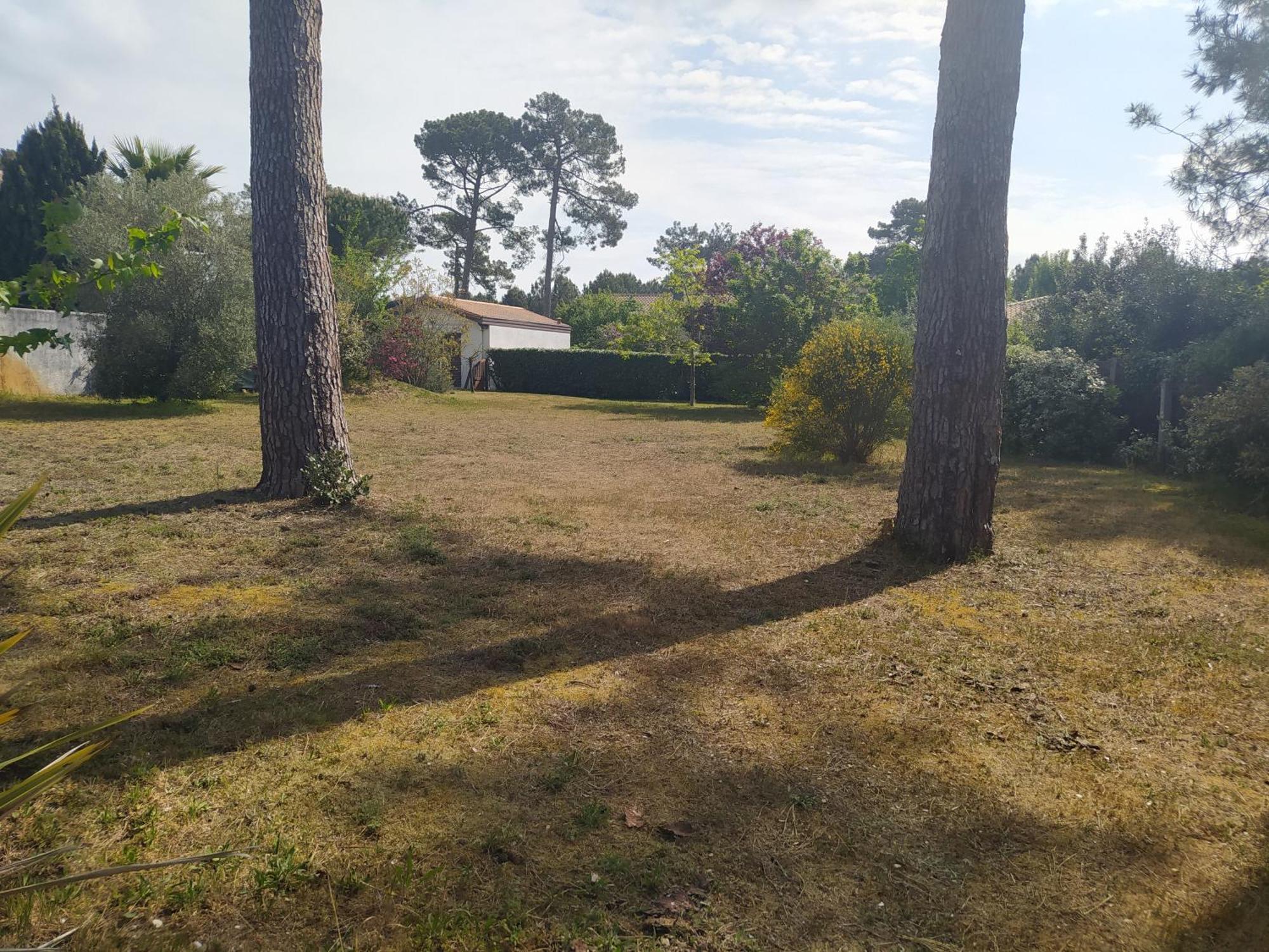 Petite Maison A Biscarrosse - Plage Exteriör bild